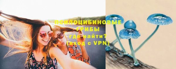 ПСИЛОЦИБИНОВЫЕ ГРИБЫ Нязепетровск
