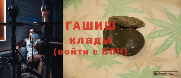 гидра Няндома