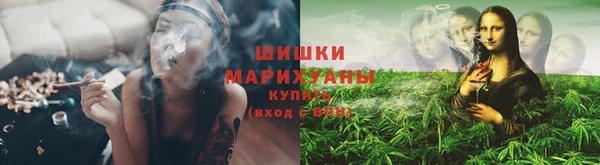 ПСИЛОЦИБИНОВЫЕ ГРИБЫ Нязепетровск