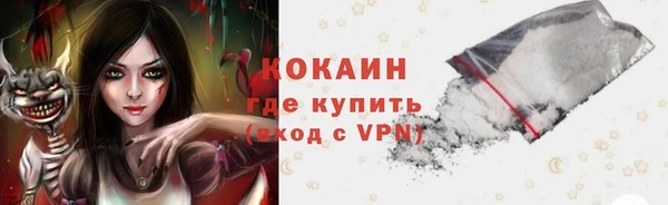 гидра Няндома