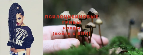 ПСИЛОЦИБИНОВЫЕ ГРИБЫ Нязепетровск