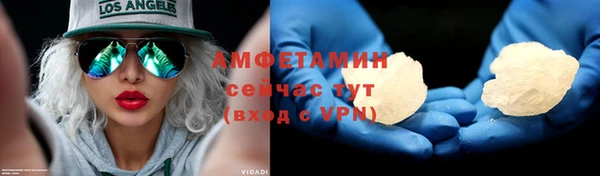 гидра Няндома