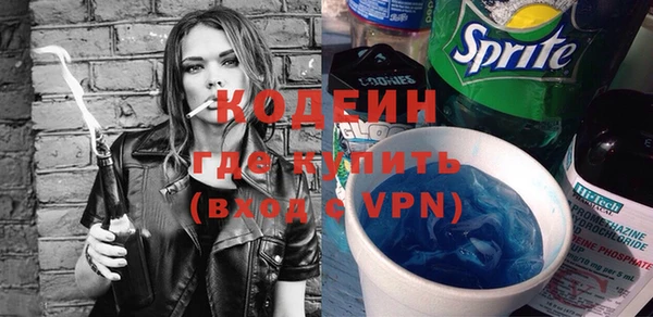 гидра Няндома