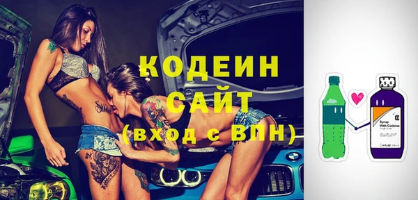 гидра Няндома