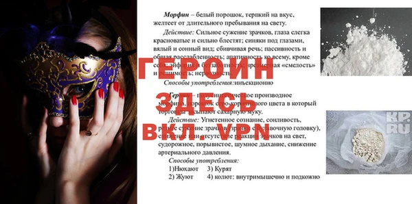 гидра Няндома