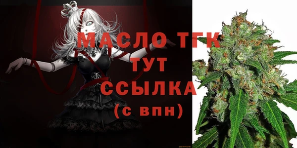 гидра Няндома