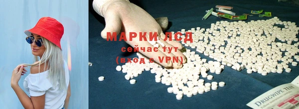 трава Новокубанск
