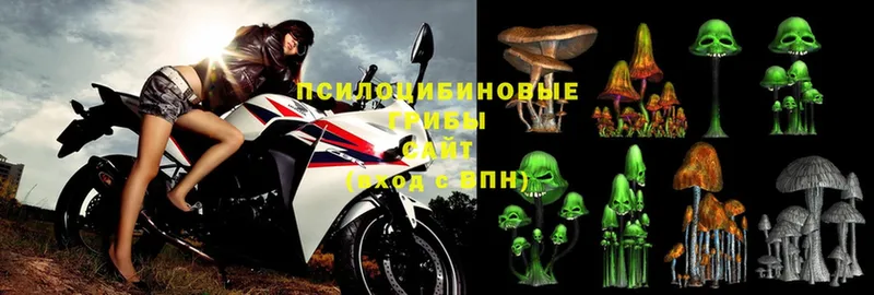 Псилоцибиновые грибы Magic Shrooms  Сыктывкар 