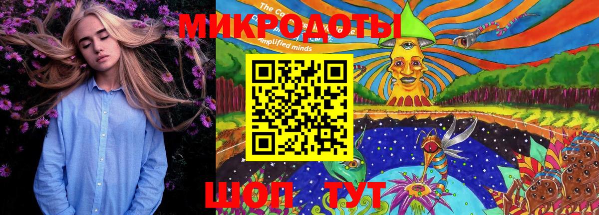 Галлюциногенные грибы мухоморы Сыктывкар