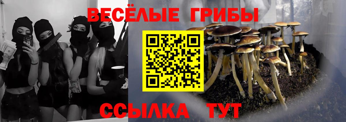 COCAIN Сыктывкар